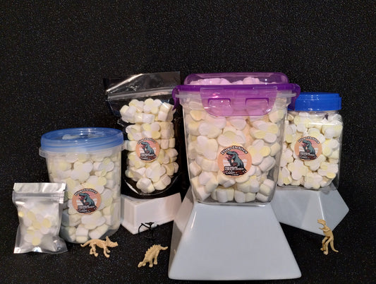 Freeze Dried Buttery Sweet Popcorn Puffs in a Dino-Delite Resealable Container!
