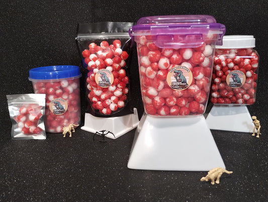 Freeze Dried CHERRYHEADS in a Dino-Delite Resealable Container!