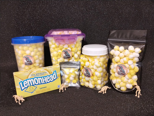Lemonheads Freeze Dried to Perfection in a Resealable Dino-Delites Keepsake Container!